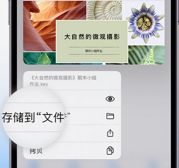 竹山apple维修中心分享iPhone文件应用中存储和找到下载文件