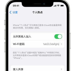 竹山apple服务站点分享iPhone上个人热点丢失了怎么办 