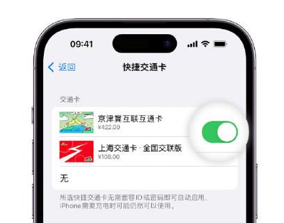 竹山apple维修点分享iPhone上更换Apple Pay快捷交通卡手绘卡面 