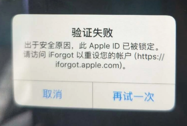 竹山iPhone维修分享iPhone上正常登录或使用AppleID怎么办 