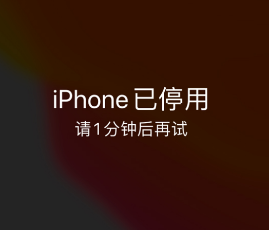 竹山苹果手机维修分享:iPhone 显示“不可用”或“已停用”怎么办？还能保留数据吗？ 