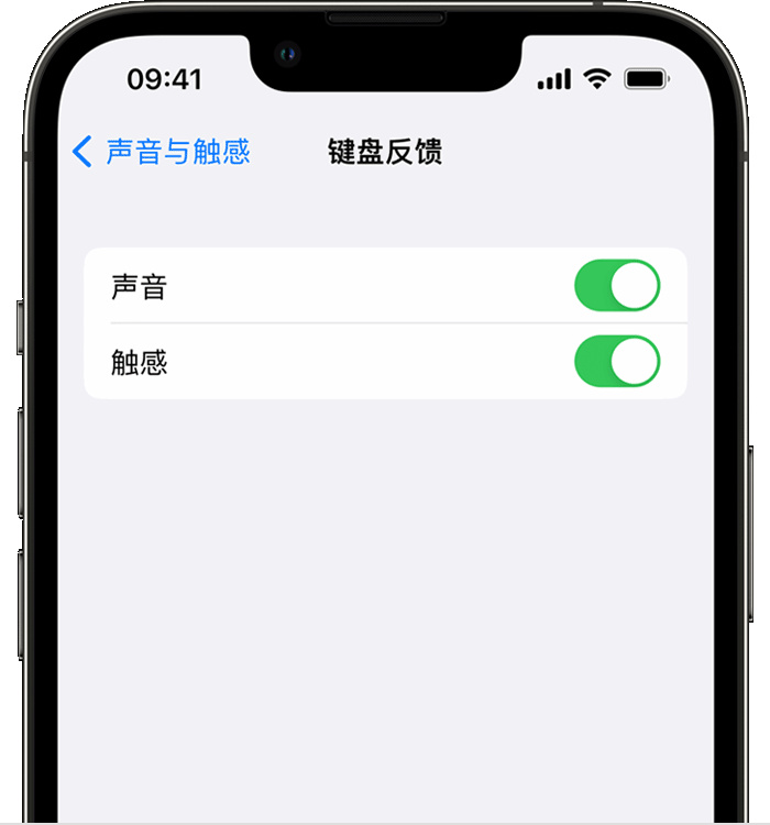 竹山苹果14维修店分享如何在 iPhone 14 机型中使用触感键盘 