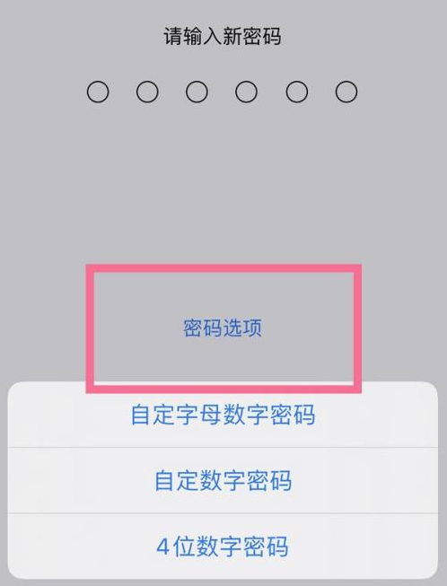 竹山苹果14维修分享iPhone 14plus设置密码的方法 