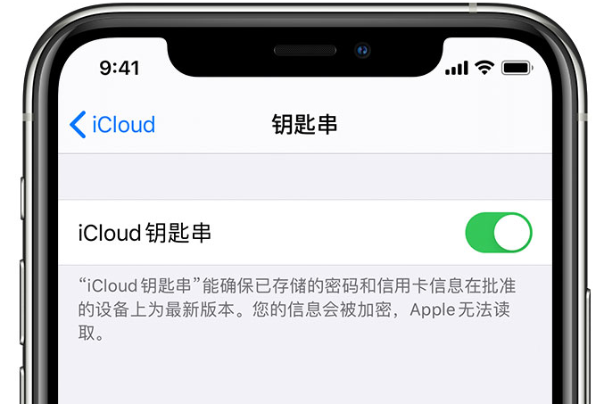 竹山苹果手机维修分享在 iPhone 上开启 iCloud 钥匙串之后会储存哪些信息 