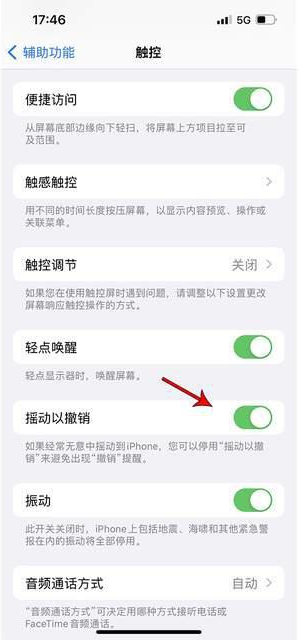 竹山苹果手机维修分享iPhone手机如何设置摇一摇删除文字 